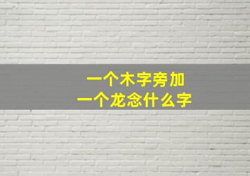 一个木字旁加一个龙念什么字