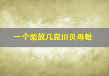 一个梨放几克川贝母粉