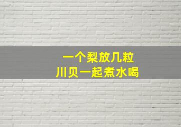 一个梨放几粒川贝一起煮水喝