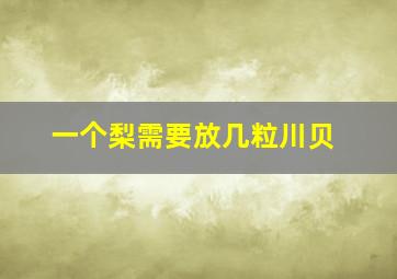 一个梨需要放几粒川贝