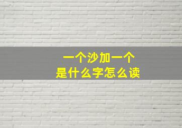 一个沙加一个是什么字怎么读