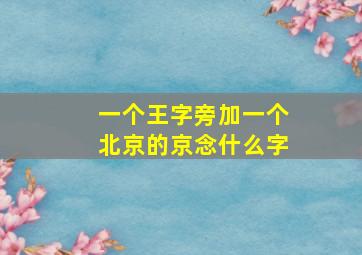 一个王字旁加一个北京的京念什么字