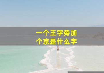 一个王字旁加个京是什么字