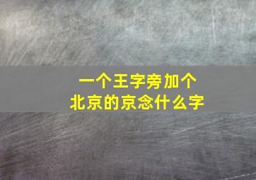 一个王字旁加个北京的京念什么字