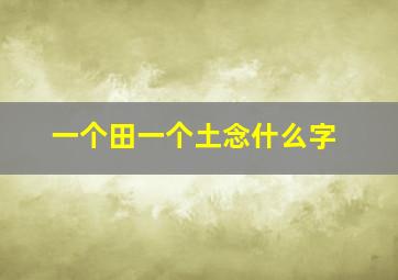 一个田一个土念什么字