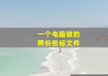 一个电脑做的两份投标文件