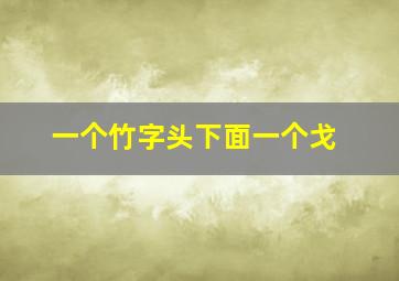 一个竹字头下面一个戈