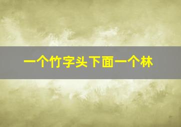 一个竹字头下面一个林