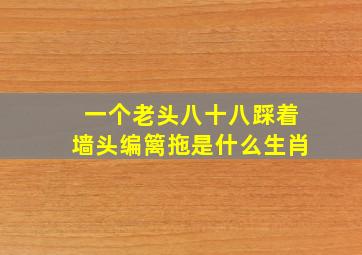 一个老头八十八踩着墙头编篱拖是什么生肖