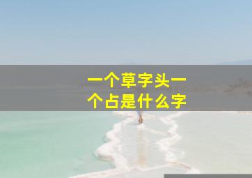 一个草字头一个占是什么字