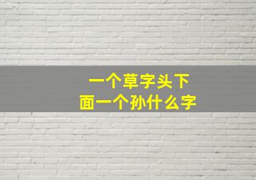 一个草字头下面一个孙什么字