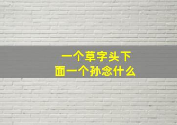 一个草字头下面一个孙念什么