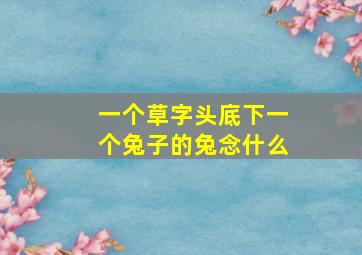 一个草字头底下一个兔子的兔念什么