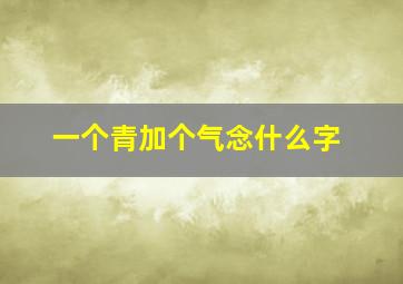 一个青加个气念什么字