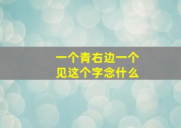 一个青右边一个见这个字念什么