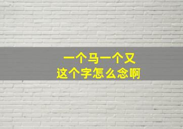 一个马一个又这个字怎么念啊