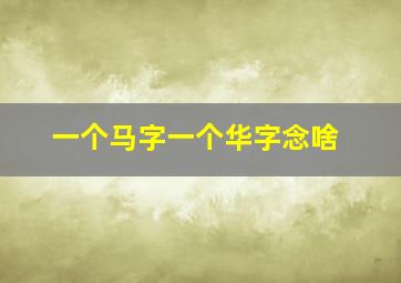 一个马字一个华字念啥