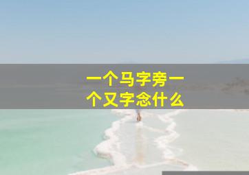 一个马字旁一个又字念什么