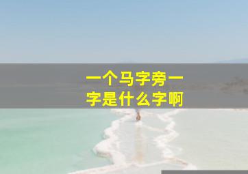 一个马字旁一字是什么字啊