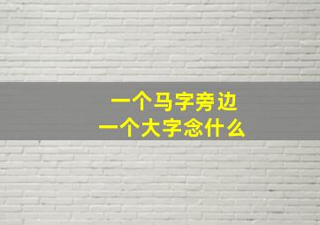 一个马字旁边一个大字念什么