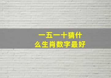 一五一十猜什么生肖数字最好