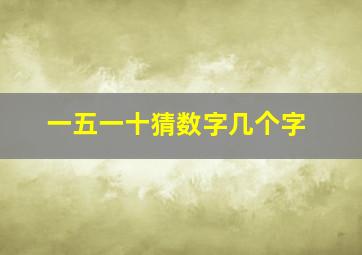 一五一十猜数字几个字