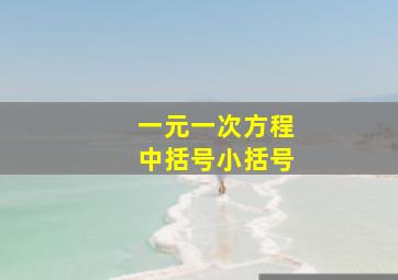 一元一次方程中括号小括号