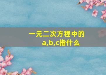 一元二次方程中的a,b,c指什么