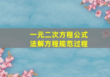 一元二次方程公式法解方程规范过程