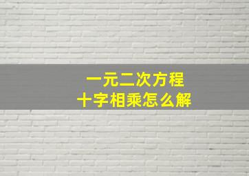 一元二次方程十字相乘怎么解