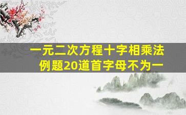 一元二次方程十字相乘法例题20道首字母不为一