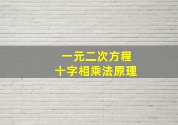 一元二次方程十字相乘法原理