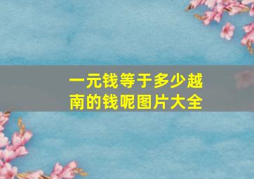 一元钱等于多少越南的钱呢图片大全