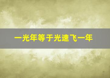 一光年等于光速飞一年