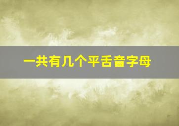 一共有几个平舌音字母