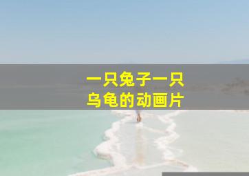 一只兔子一只乌龟的动画片