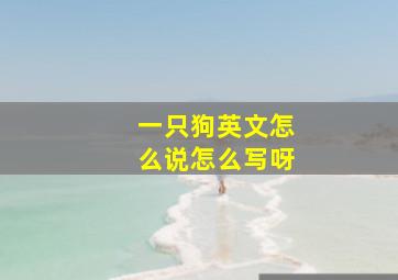 一只狗英文怎么说怎么写呀