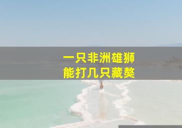 一只非洲雄狮能打几只藏獒