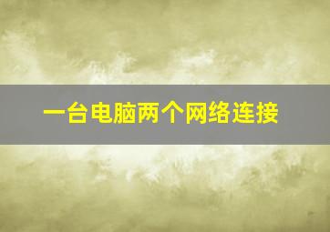 一台电脑两个网络连接