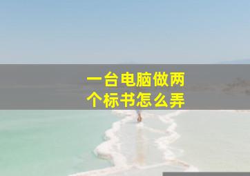 一台电脑做两个标书怎么弄