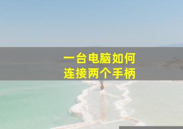 一台电脑如何连接两个手柄