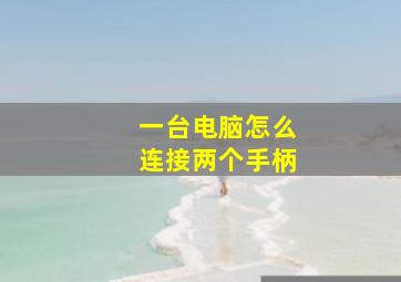 一台电脑怎么连接两个手柄