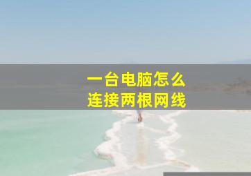 一台电脑怎么连接两根网线