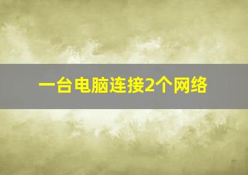 一台电脑连接2个网络