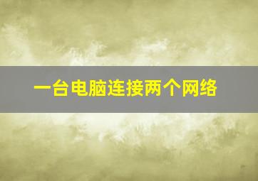 一台电脑连接两个网络