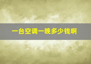 一台空调一晚多少钱啊