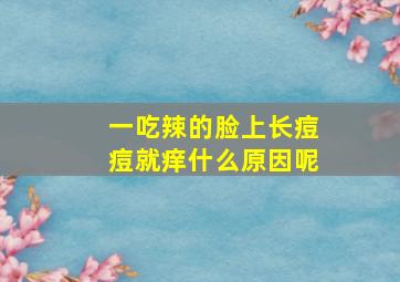 一吃辣的脸上长痘痘就痒什么原因呢