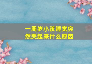 一周岁小孩睡觉突然哭起来什么原因