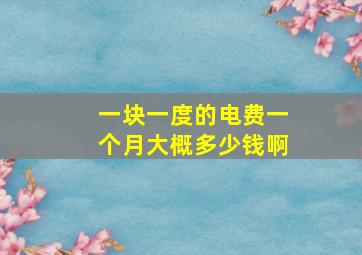 一块一度的电费一个月大概多少钱啊