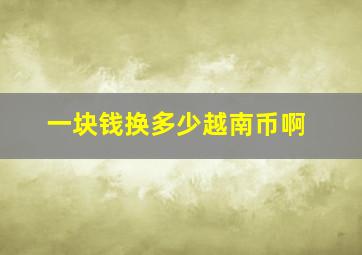 一块钱换多少越南币啊